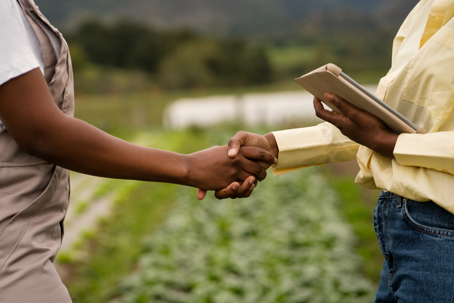 A Importância da Documentação e Regularização da Propriedade Rural